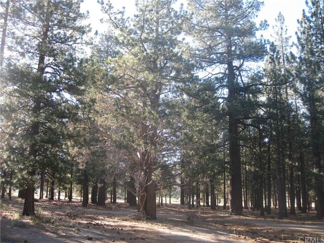 2818 Erwin Ranch Rd, Big Bear City CA, 92314 land for sale