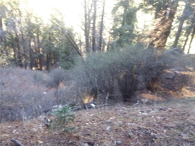 0 El Valle Rd, Cedarpines Park, CA 92322 - photo 3