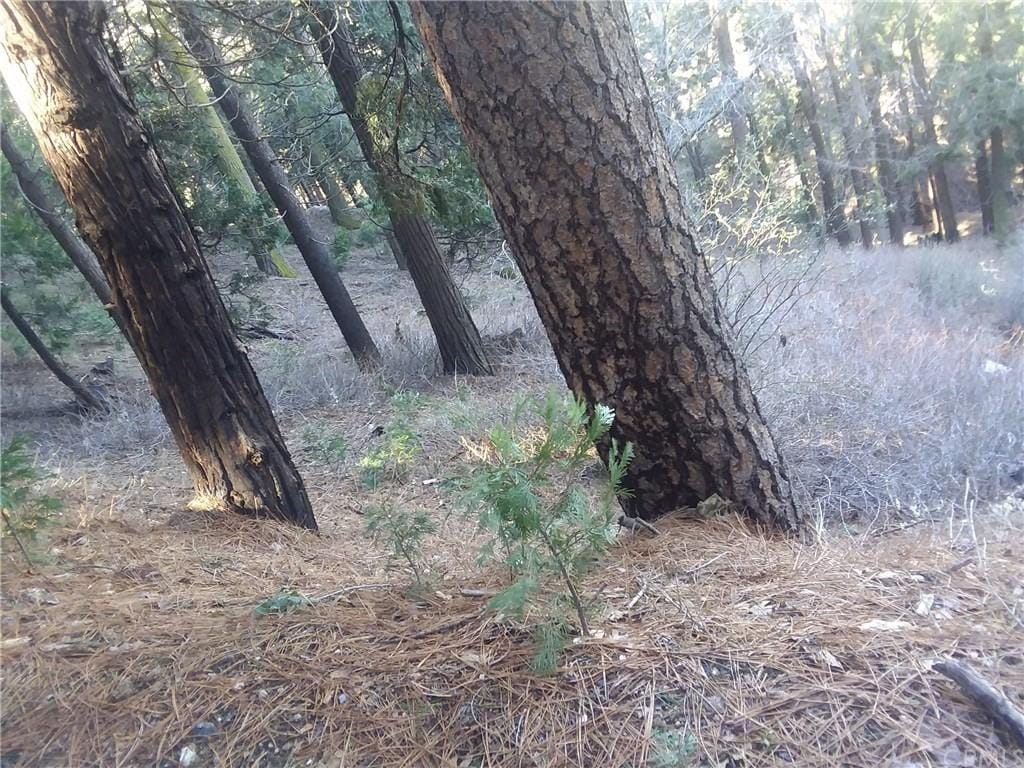 0 El Valle Rd, Cedarpines Park, CA 92322 - photo 1