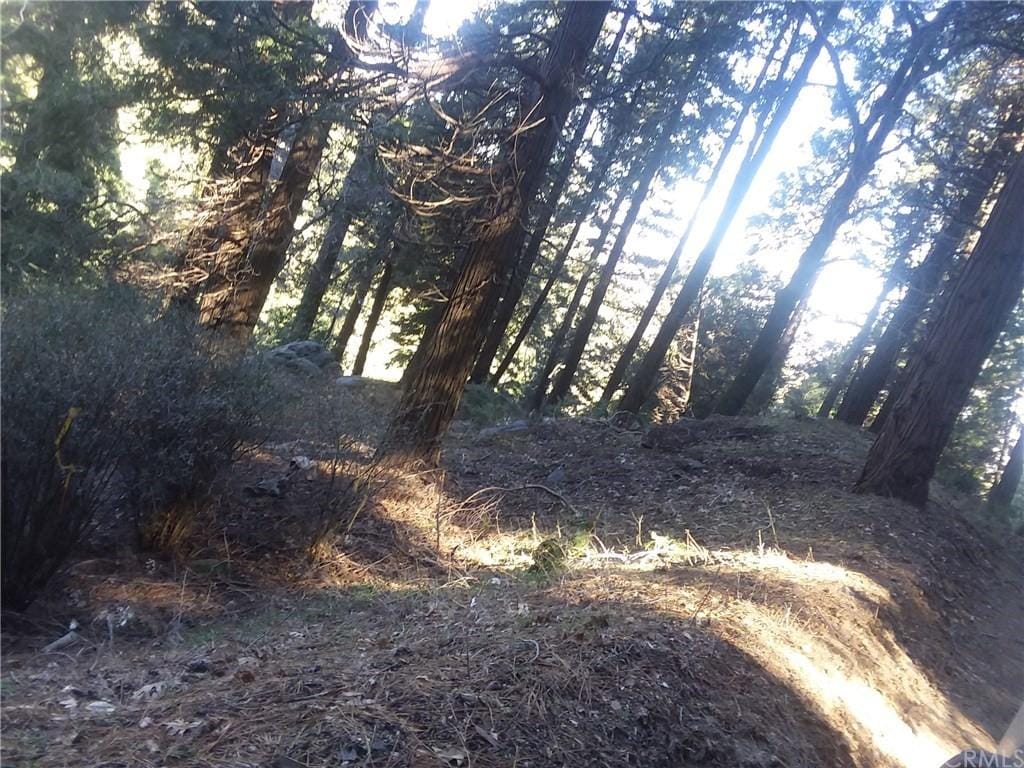 0 El Valle Rd, Cedarpines Park, CA 92322 - photo 2
