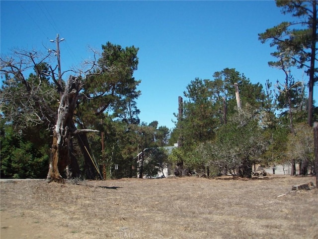 Listing photo 3 for 0 Bradford Pl, Cambria CA 93428