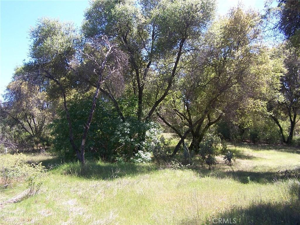 0 Stone Ridge, Coarsegold, CA 93614