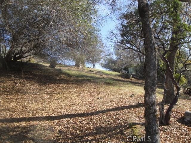 0 Beckwourth Way, Oroville, CA 95966 - photo 8