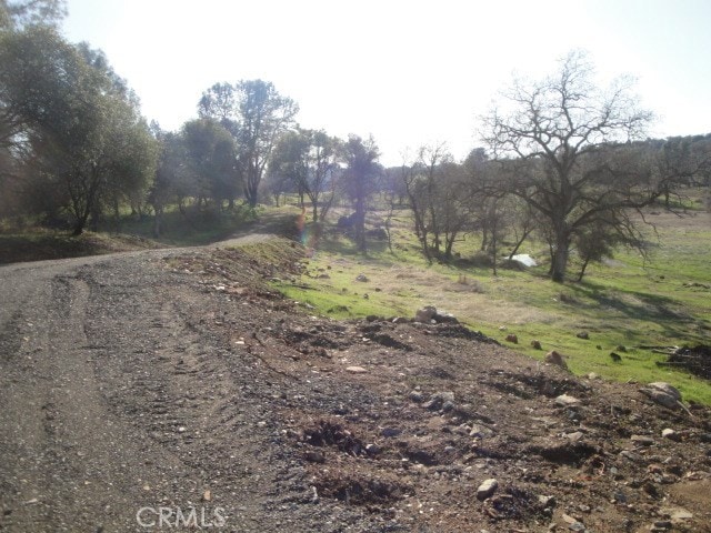 Listing photo 3 for 0 Old Olive Hwy, Oroville CA 95966