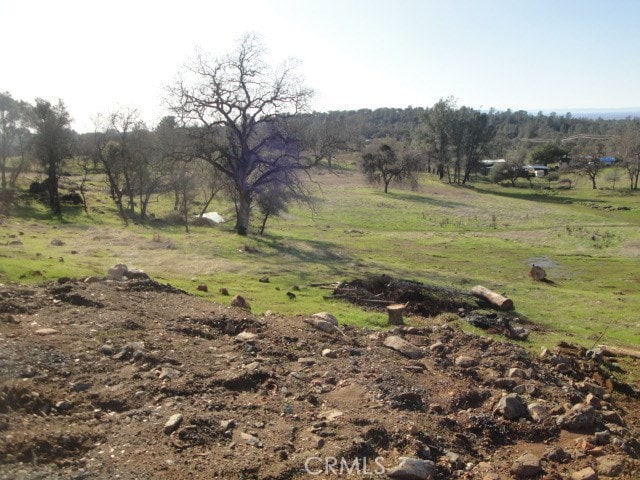 Listing photo 2 for 0 Old Olive Hwy, Oroville CA 95966