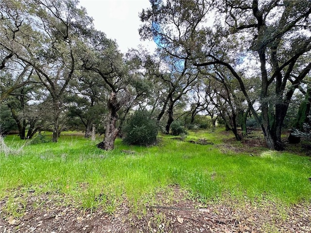 Listing photo 3 for 19334 Live Oak Cyn, Trabuco Canyon CA 92679