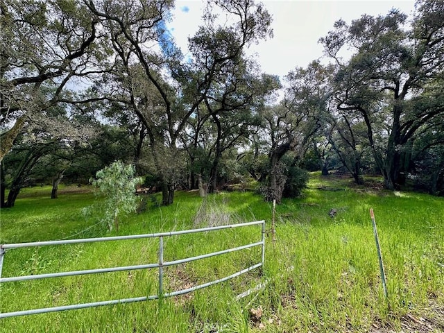 19334 Live Oak Cyn, Trabuco Canyon CA, 92679 land for sale