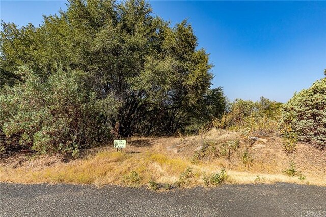 0 Vista Lago Ln, Lot Mariposa CA, 95338 land for sale