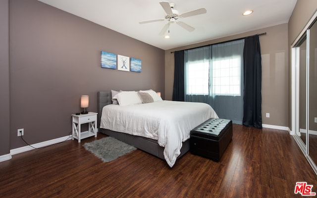 bedroom featuring ceiling fan and dark hardwood / wood-style floors