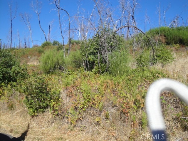 0 Meadow Ln, Berry Creek CA, 95916 land for sale