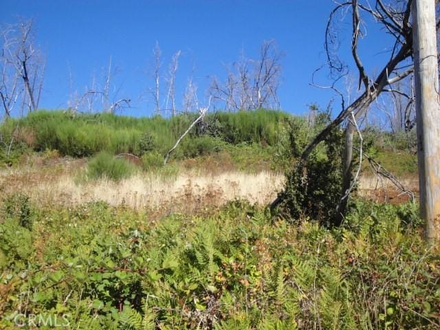 0 Meadow Ln, Berry Creek, CA 95916 - photo 3