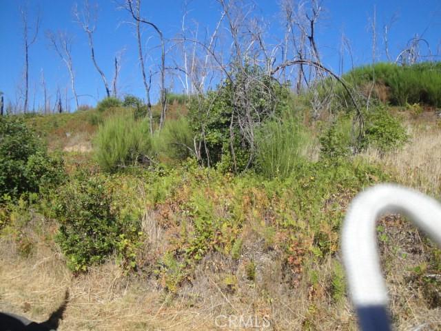 0 Meadow Ln, Berry Creek, CA 95916 - photo 1