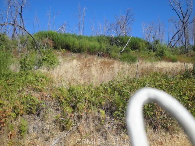 0 Meadow Ln, Berry Creek, CA 95916 - photo 2