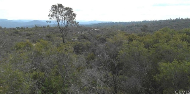 0 Flying O Ranch Rd, Oneals CA, 93645 land for sale