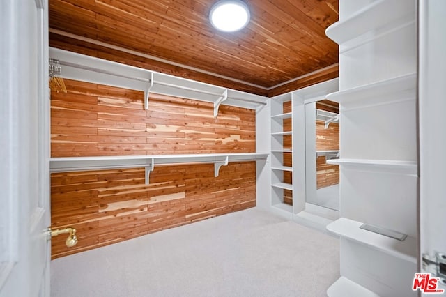 spacious closet featuring carpet flooring