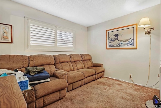 living room with carpet floors