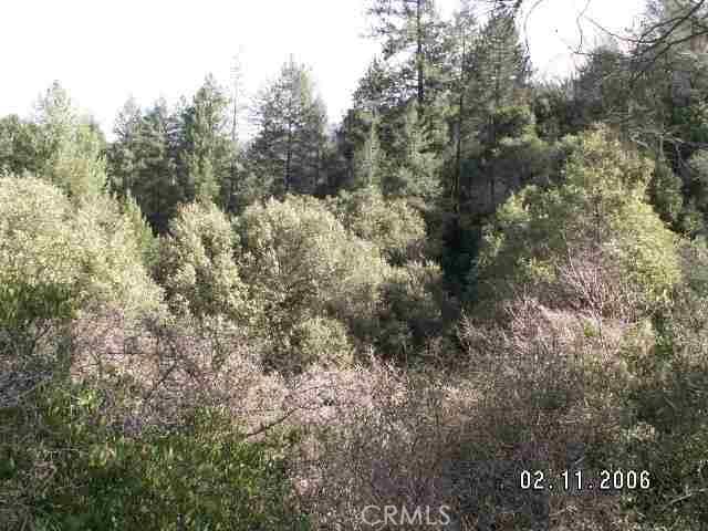 0 Bloomer Hill, Berry Creek CA, 95916 land for sale