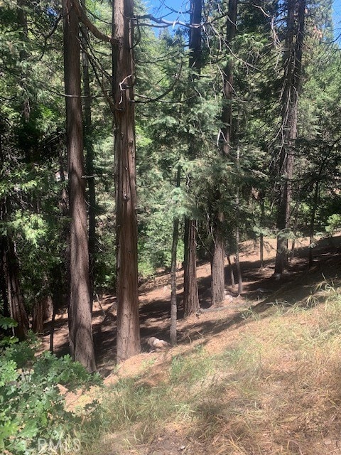 0 State Highway 189, Lake Arrowhead CA, 92352 land for sale