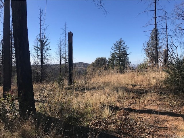 0 Buchner, Feather Falls CA, 95916 land for sale