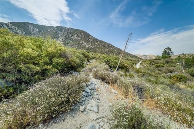 400 Call Of The Canyon Rd, Lytle Creek, CA 92358