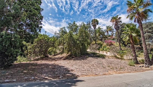 1601 N Walnut St, La Habra Heights CA, 90631 land for sale