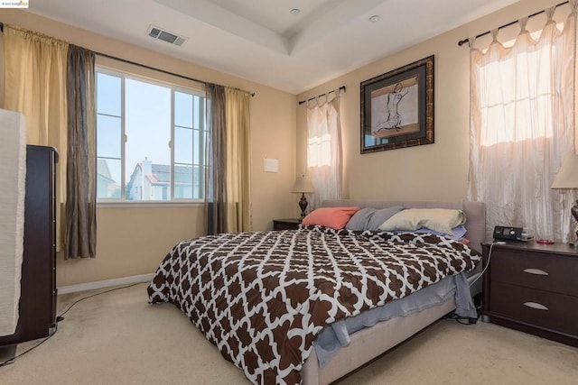 carpeted bedroom with a raised ceiling