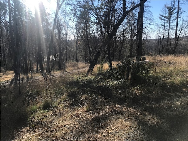 0 Four M Ct, Berry Creek CA, 95916 land for sale