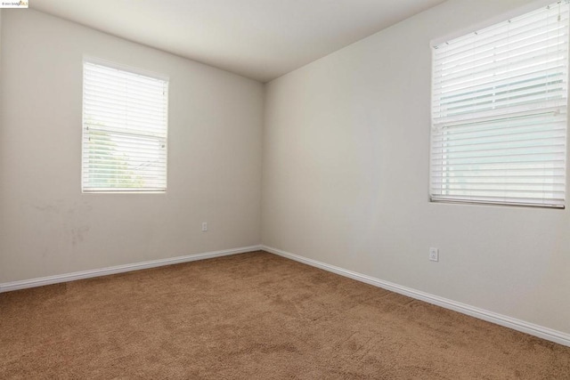 spare room featuring carpet