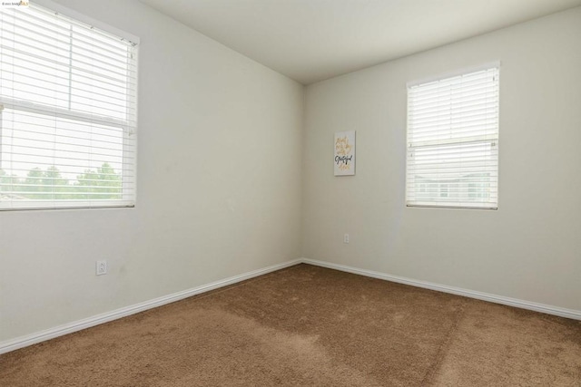 carpeted empty room featuring a healthy amount of sunlight