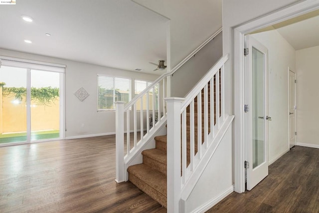 staircase featuring ceiling fan and dark hardwood / wood-style flooring