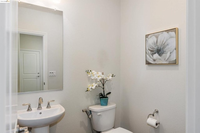 bathroom featuring sink and toilet