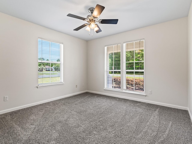 40 Farrier Ln, Crawfordville, FL 32327 - photo 18