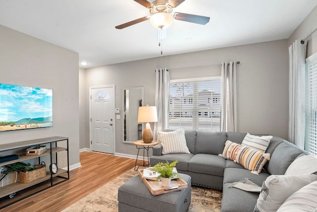 living room with hardwood / wood-style flooring and ceiling fan