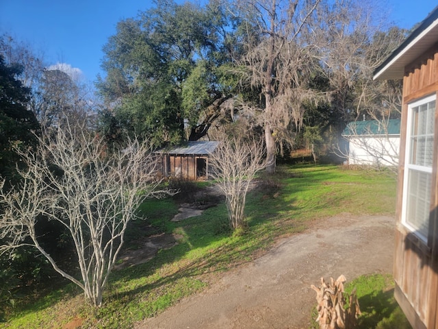 view of yard featuring a storage shed