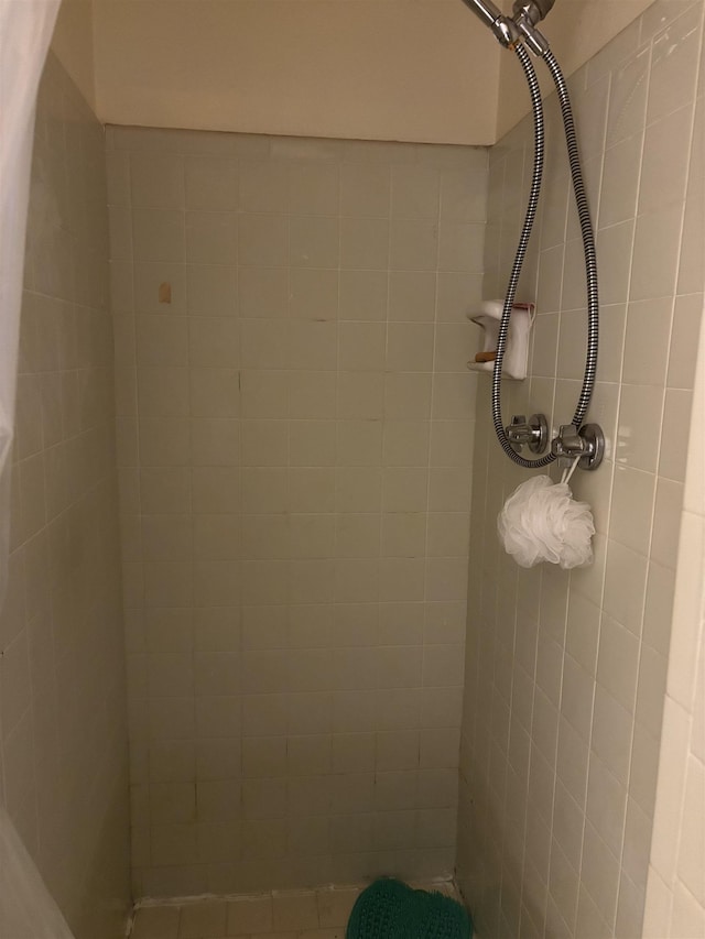 1208 Halifax Ct, Tallahassee, FL 32308 - detailed view of tiled shower