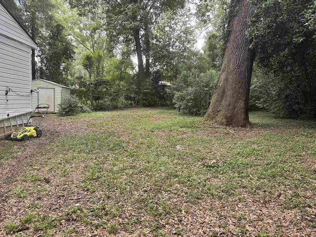 1208 Halifax Ct, Tallahassee, FL 32308 - view of grassy yard with a storage shed