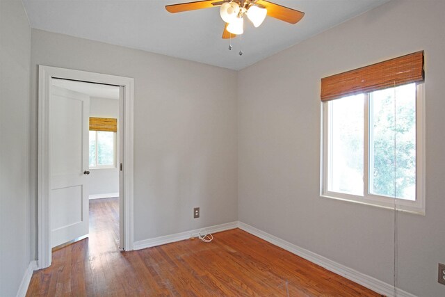 1917 S Magnolia Dr, Tallahassee, FL 32301 - photo 18
