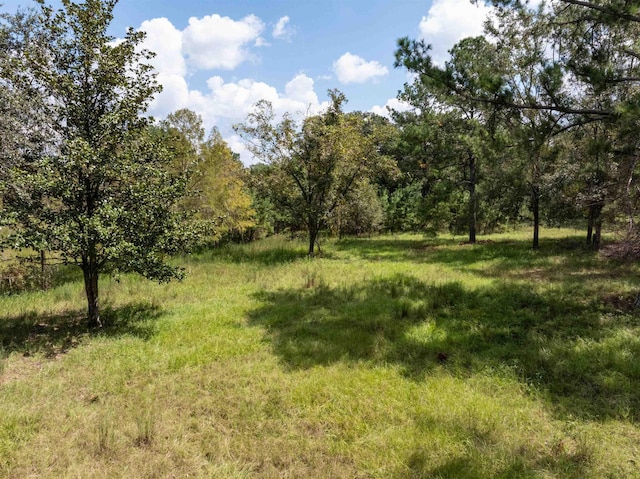 0 NW St Thomas Church Rd, Madison FL, 32340 land for sale