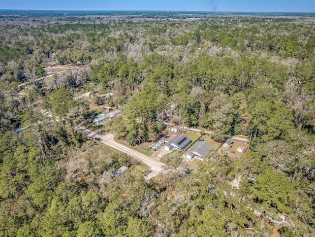 50 Cayuse Dr, Crawfordville, FL 32327 - photo 15