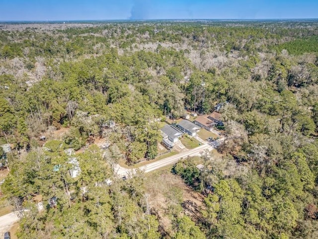 50 Cayuse Dr, Crawfordville, FL 32327 - photo 14