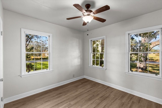 unfurnished room featuring plenty of natural light and wood-type flooring