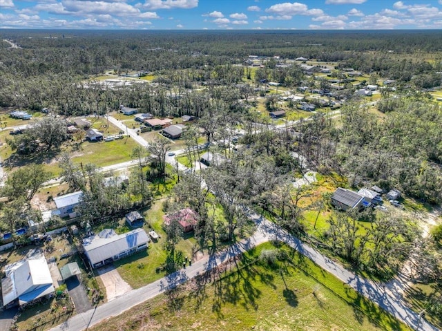 bird's eye view