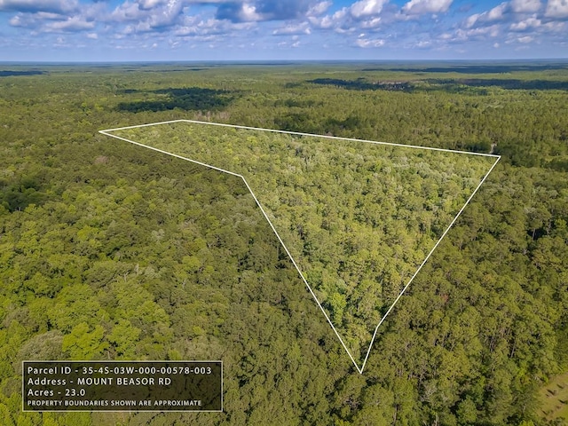 XX Mount Beasor Rd, Sopchoppy FL, 32358 land for sale