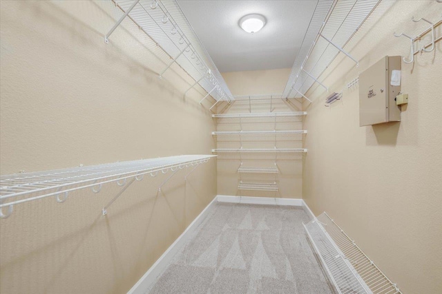 spacious closet featuring carpet flooring