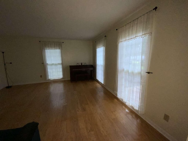 unfurnished living room with wood-type flooring