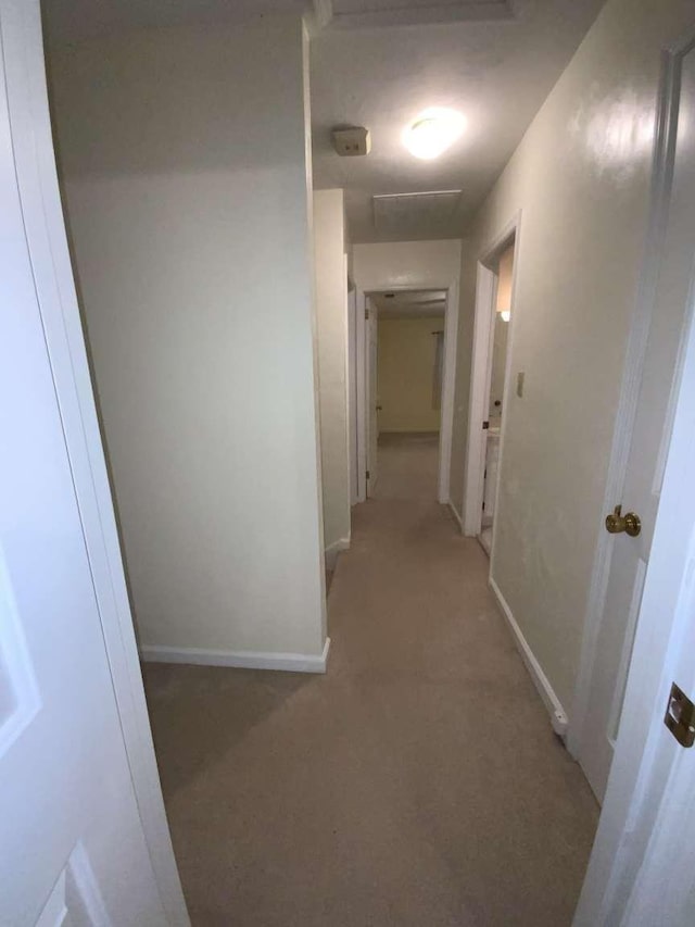 corridor featuring carpet flooring