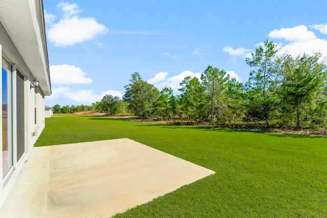 view of yard featuring a patio area