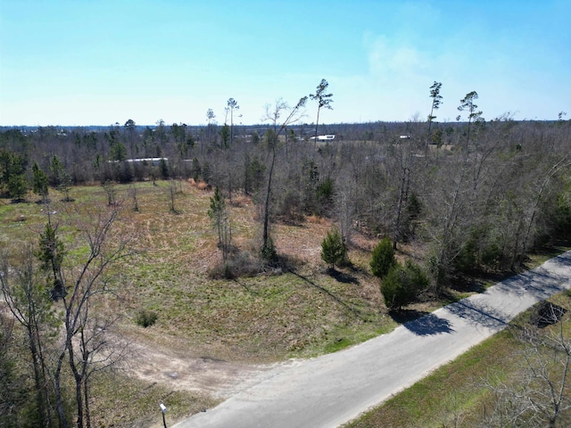 TBD NE Morgan Tucker Rd, Altha FL, 32421 land for sale