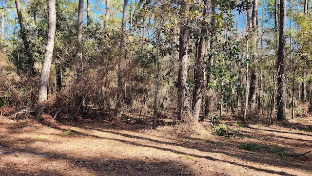 Listing photo 3 for XXX Cherokee Dr, Sopchoppy FL 32358