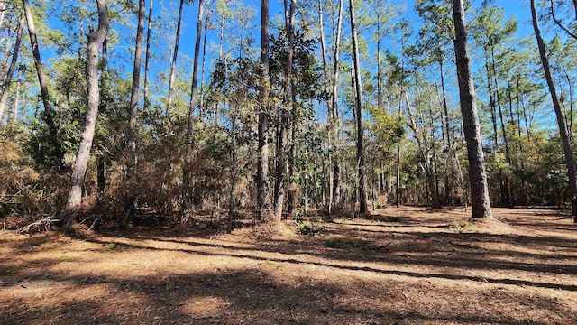 XXX Cherokee Dr, Sopchoppy FL, 32358 land for sale